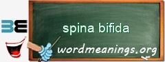 WordMeaning blackboard for spina bifida